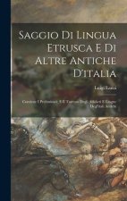 Saggio Di Lingua Etrusca E Di Altre Antiche D'italia: Contiene I Preliminari; E Il Trattato Degli Alfabeti E Lingue Degl'itali Antichi