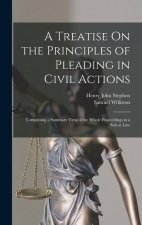 A Treatise On the Principles of Pleading in Civil Actions: Comprising a Summary View of the Whole Proceedings in a Suit at Law