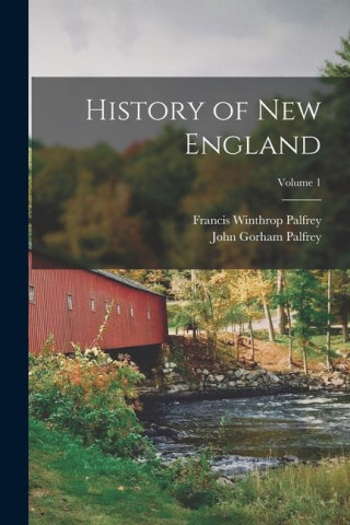 History of New England; Volume 1