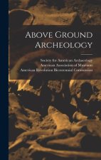 Above Ground Archeology