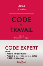 Code Dalloz expert travail 2023. 87e éd.