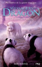 Bamboo Kingdom - tome 3 : Journey to the Dragon Mountain