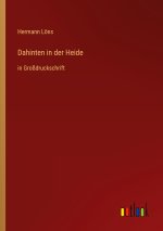 Dahinten in der Heide