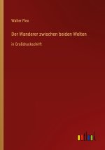Der Wanderer zwischen beiden Welten
