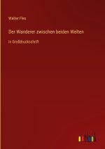 Der Wanderer zwischen beiden Welten