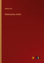 Wallensteins Antlitz
