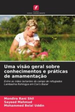 Uma vis?o geral sobre conhecimentos e práticas de amamentaç?o