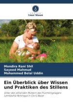 Ein Überblick über Wissen und Praktiken des Stillens