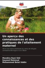 Un aperçu des connaissances et des pratiques de l'allaitement maternel