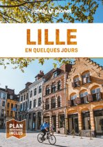 Lille En quelques jours 8