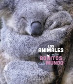LOS ANIMALES MAS BONITOS DEL MUNDO