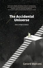 The Accidental Universe and Other Stories
