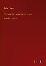Erinnerungen aus meinem Leben