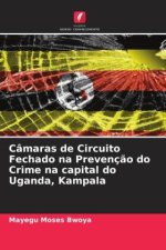 Câmaras de Circuito Fechado na Prevenç?o do Crime na capital do Uganda, Kampala