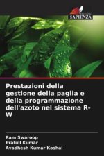 Prestazioni della gestione della paglia e della programmazione dell'azoto nel sistema R-W