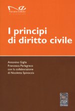 principi di diritto civile