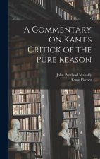 A Commentary on Kant's Critick of the Pure Reason