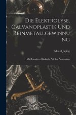 Die Elektrolyse, Galvanoplastik und Reinmetallgewinnung: Mit Besonderer Rücksicht Auf Ihre Anwendung