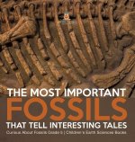 The Most Important Fossils That Tell Interesting Tales | Curious About Fossils Grade 5 | Children's Earth Sciences Books