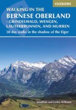 Walking in the Bernese Oberland - Grindelwald, Wengen, Lauterbrunnen, and Murren