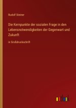 Die Kernpunkte der sozialen Frage in den Lebensnotwendigkeiten der Gegenwart und Zukunft