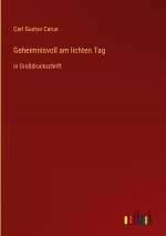 Geheimnisvoll am lichten Tag