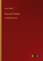 Wozu das Theater?