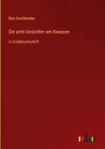 Die acht Gesichter am Biwasee