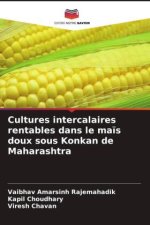Cultures intercalaires rentables dans le ma?s doux sous Konkan de Maharashtra