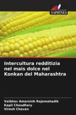 Intercultura redditizia nel mais dolce nel Konkan del Maharashtra