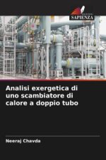 Analisi exergetica di uno scambiatore di calore a doppio tubo