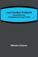 Aus Goethes Frühzeit; Bruchstücke eines Commentares zum jungen Goethe