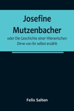 Josefine Mutzenbacher; oder Die Geschichte einer Wienerischen Dirne von ihr selbst erzählt