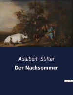 Der Nachsommer