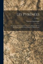 Les Pyrénées; Ou, Voyages Pédestres Dans Toutes Les Régions De Ces Montagnes Dépuis L'océan Jusqu'? La Méditerranée; Volume 1