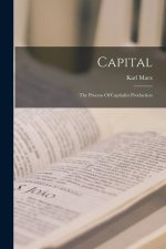 Capital: The Process Of Capitalist Production