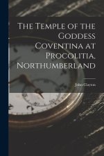 The Temple of the Goddess Coventina at Procolitia, Northumberland