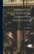 View of the State of Europe During the Middle Ages; Volume II