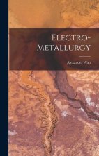 Electro-Metallurgy