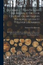 Des Semis Et Plantations Des Arbres, Et De Leur Culture; Ou Méthodes Pour Multiplier Et Élever Les Arbres: Les Planter En Massifs & En Avenues; Former