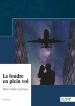 La foudre en plein vol