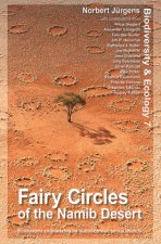 Fairy Circles of the Namib Desert