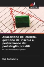 Allocazione del credito, gestione del rischio e performance del portafoglio prestiti