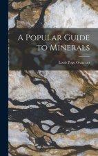 A Popular Guide to Minerals