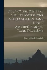 Coup-d'oeil Général sur les Possessions Néerlandaises dans L'Inde Archipélagique, Tome Troisi?me