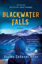 Blackwater Falls: A Thriller