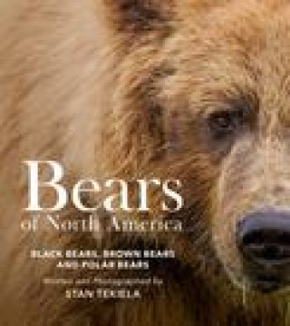 Bears of North America: Black Bears, Brown Bears, and Polar Bears