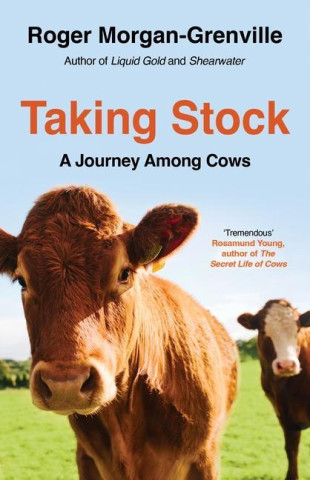 Taking Stock: A Journey Among Cows