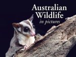 Australian Wildlife in Picture: Celebrating the Unique Nature of the Island Continent, from Kangaroos to Sea Dragons