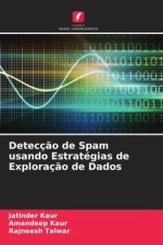 Detecç?o de Spam usando Estratégias de Exploraç?o de Dados